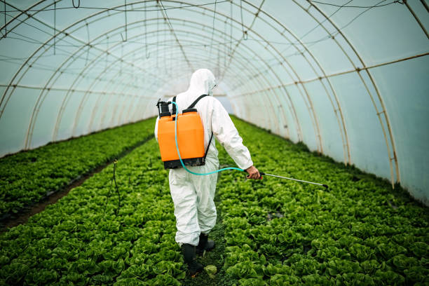 Best Pest Control for Homes  in Candler Mcafee, GA