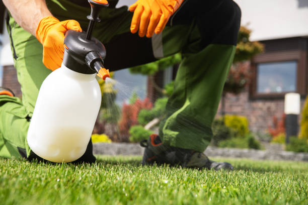 Best Pest Removal Services  in Candler Mcafee, GA