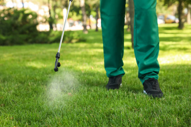 Best Local Pest Control Services  in Candler Mcafee, GA