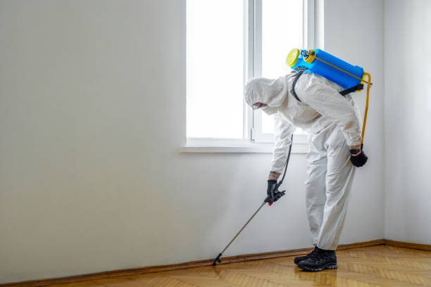 Best Cockroach Control Services  in Candler Mcafee, GA