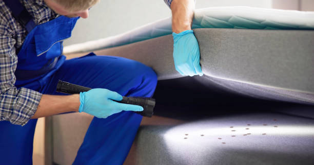 Best Emergency Pest Control  in Candler Mcafee, GA