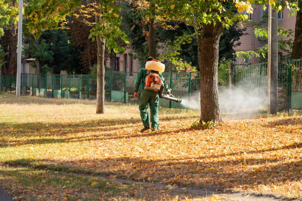 Best Pest Prevention Services  in Candler Mcafee, GA