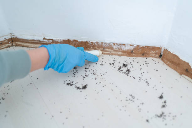 Best Pest Inspection Near Me  in Candler Mcafee, GA