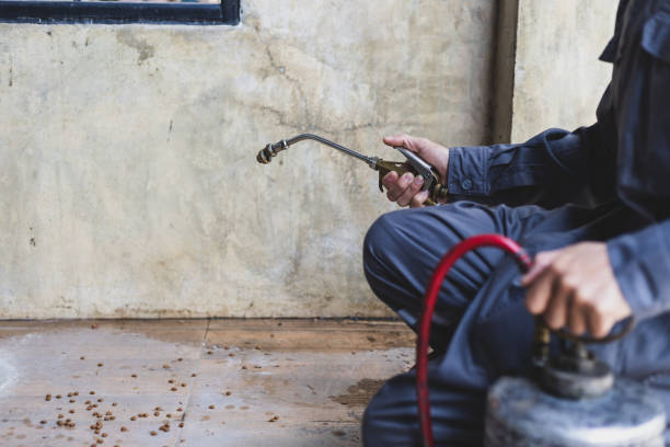 Best Affordable Pest Control Services  in Candler Mcafee, GA